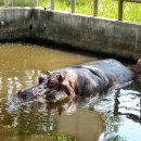 전주동물원 이미지