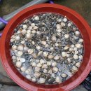 황골해변 이미지