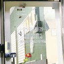 댕빌리지 | 【여수애견미용추천 ፡ 댕빌리지 / 강아지미용 / 위생...전문점 / 미용후기 / 솔직리뷰 / 반려미용추천】