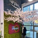 고양관광정보센터 | 고양관광정보센터 - 고양