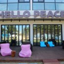 헬로피스 이미지