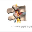 이성용재활의학과의원 이미지