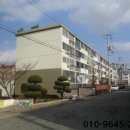 행하길 8 이미지