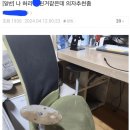 나 허리 ㅈ된 거 같은데 의자 추천 좀.jpg 이미지