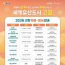 다정한파도