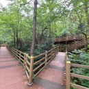 구포무장애숲길 주차장 화장실 이미지