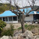 금당면-3 이미지