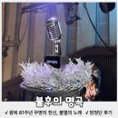 KBS국악한마당 녹화 출연 | [KBS] <불후의 명곡 특집> "광복 81주년 무명의 헌신, 불멸의 노래" 방청단 당첨 후기