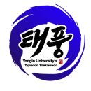 용인대태풍태권도장 이미지