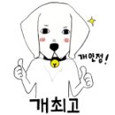 디스크독 연구소 이미지