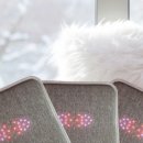 M 메디칼 이미지