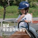 창녕군립수영장 | 대구 근교 4살 아이 나들이 추천 | 창녕우포승마장 키즈 놀이터 방문 후기