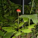 심봤다민박 이미지