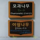 성진ENG 네이버블로그