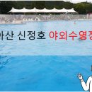신정호야외수영장 이미지