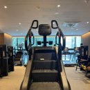 더 디짐 이미지