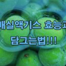 매실액기스 효능과 담는법! 이미지