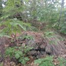 회룡천민박 이미지