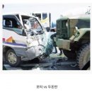 두돈반 이미지