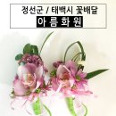 고한사북꽃집
