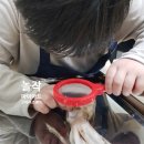 놀작로미키즈센터교습소 | 생각하는 관찰! 창의적인 표현! 놀작마이아트