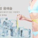 연세참의원 Daum카페