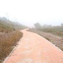 문막공단길 이미지