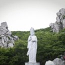 남해약국 이미지