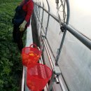 삼진테크 이미지