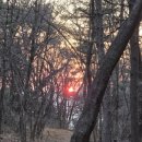 잎사귀치과병원 이미지