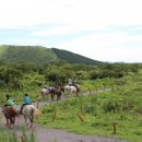 금호카써비스 이미지