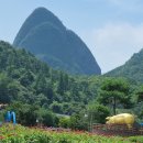 진안마이돈 이미지