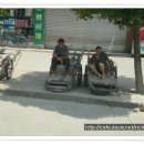 사계여행 이미지