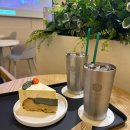 은행나무종합동물병원 이미지