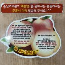 강계봉진막국수 이미지