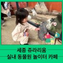 세종 쥬라리움 29개월 아이와 실내 동물원 놀이터 카페 솔직후기