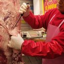 참한우2호 이미지