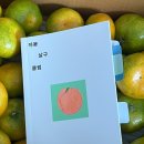 이희영국어 | 상반기 책소개 📖