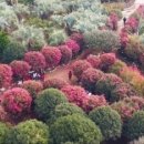 대성가든 이미지