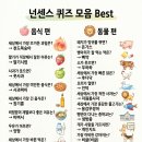 넌센스 Daum카페