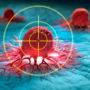 41590-01-01-21 이미지