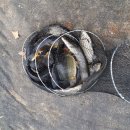 소로낚시터 이미지