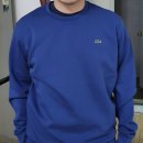 승진세탁 이미지