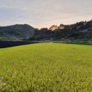 카페재생 이미지