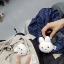 도봉산역(1호선) 화장실 | 도봉산 가을 등산코스 추천 | 천축사-마당바위-신선대