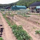 여울농장2 네이버블로그