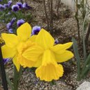 노량보건진료소 이미지