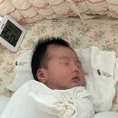 동부케어 | [동부케어]동탄 산후도우미 후기 (20~42일차)