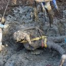 화석농장 이미지