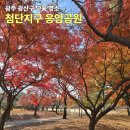 광산구시설관리공단 | 광주 광산구 가을 단풍 명소 첨단 응암공원의 만추(晩秋), 붉은 단풍과 팽나무 당산나무가 속삭이는 곳!